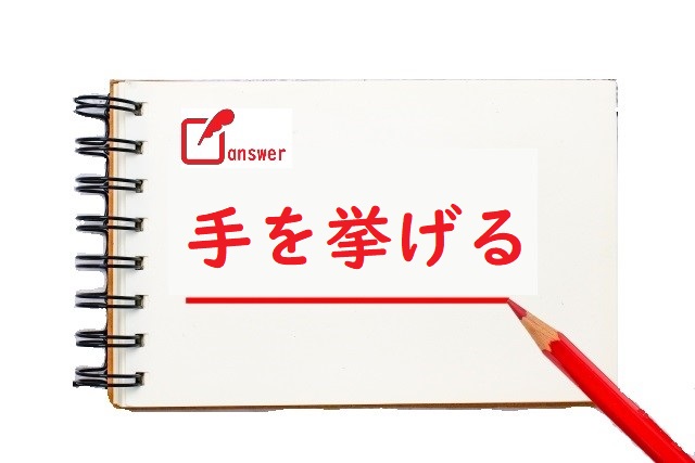 手をあげる 上げる 挙げる 揚げる のどれが正しい 論文 小論文の書き方