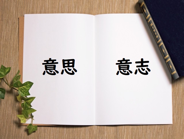 いしが弱い 意思 意志 のどっちが正しい 論文 小論文の書き方