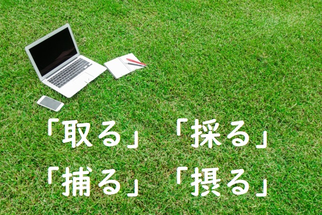 栄養をとる 取る 採る 捕る 摂る のどれが正しい 論文 小論文の書き方