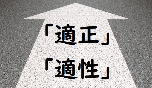 てきせい価格 適正 適性 正しい漢字はどっち 論文 小論文の書き方