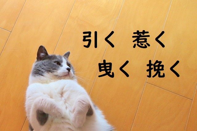 興味をひく 「引く」「惹く」「曳く」「挽く」正しい漢字はどれ？ | 論文・小論文の書き方