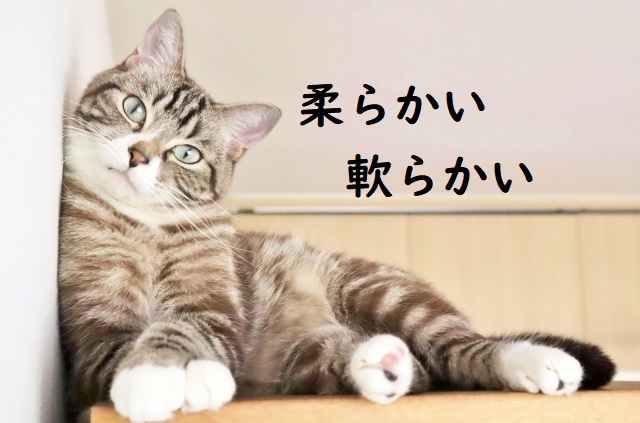 物腰がやわらかい 「柔らかい」「軟らかい」正しい漢字はどっち? | 論文・小論文の書き方