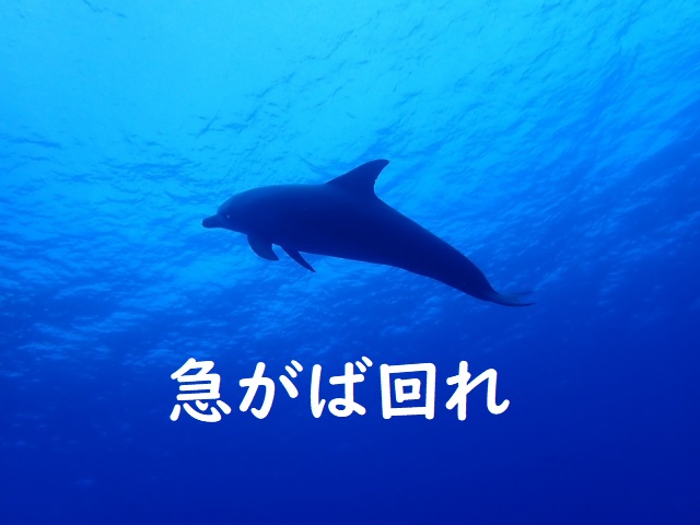 急がば回れ の意味と例文 論文 小論文の書き方