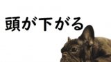 膝を打つ の意味 膝をたたく などの例文 論文 小論文の書き方