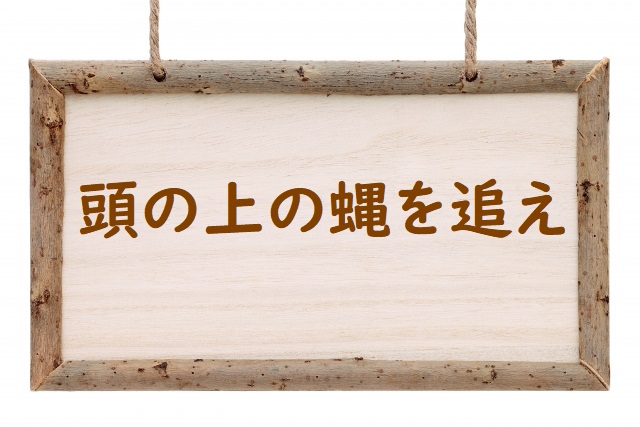 「頭の上の蠅を追え」の意味 「己の頭の蠅を追え」「頭の蠅も追えない」「頭の上の蠅も追えない」などの例文 | 論文・小論文の書き方