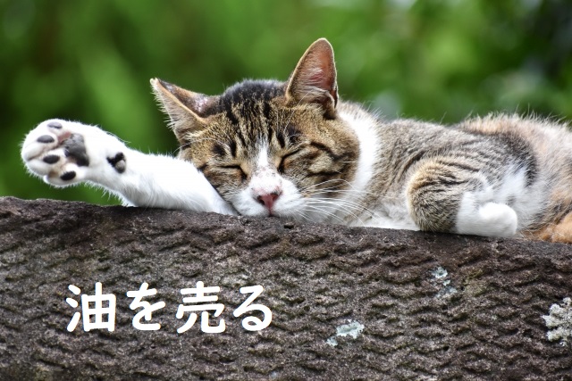 油を売る の意味と例文 論文 小論文の書き方