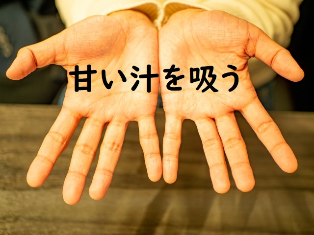 甘い汁を吸う の意味 甘い汁を吸って などの例文 論文 小論文の書き方 甘い汁を吸う の意味 甘い汁を吸って などの例文 論文 小論文の書き方