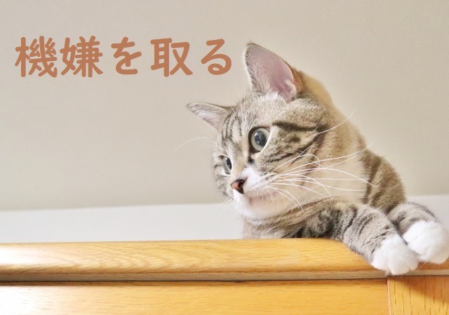 「機嫌を取る」の意味 「機嫌を取って」「機嫌取り」などの例文 | 論文・小論文の書き方