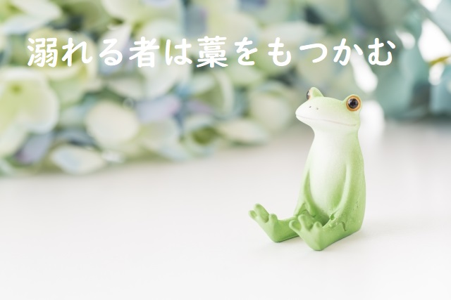 「溺れる者は藁をもつかむ」の意味 「溺れる者は藁にもすがる」などの例文 | 論文・小論文の書き方