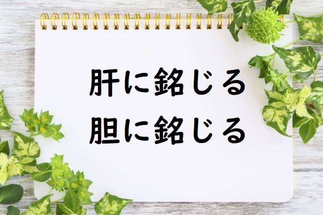 肝に銘じる 胆に銘じる の意味 肝に銘じて などの例文 論文 小論文の書き方