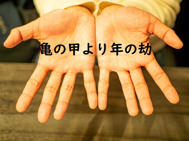 亀の甲より年の功 亀の甲より年の劫 の違い 意味 例文 論文 小論文の書き方