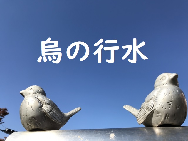 烏の行水 の意味と例文 論文 小論文の書き方