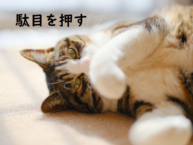 「駄目を押す」の意味 「駄目を押して」「駄目を押した」などの例文 | 論文・小論文の書き方
