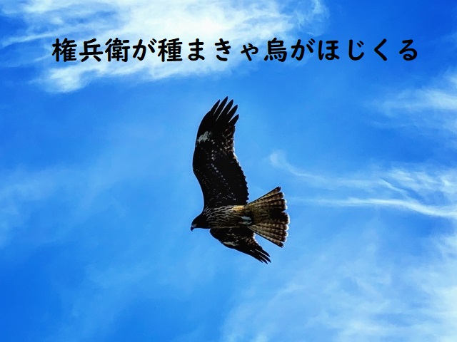 権兵衛が種まきゃ烏がほじくる の意味と例文 論文 小論文の書き方