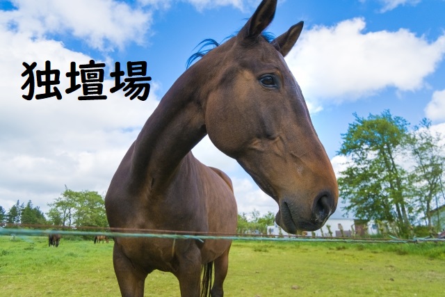 独壇場 の意味と例文 論文 小論文の書き方