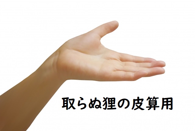 取らぬ狸の皮算用 の意味と例文 論文 小論文の書き方