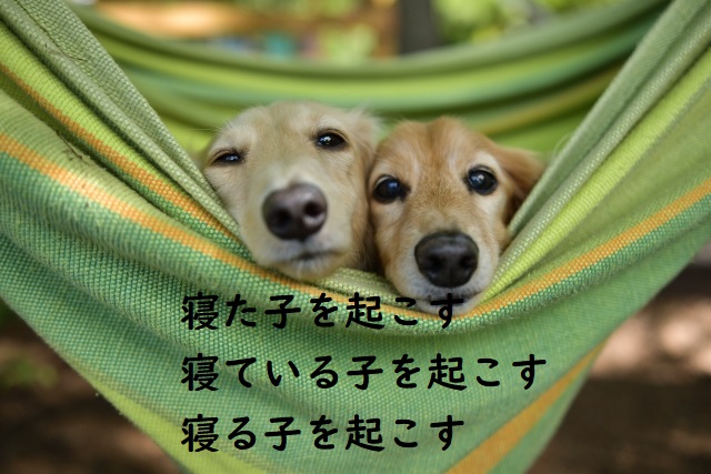 寝た子を起こす の意味 寝ている子を起こす 寝る子を起こす などの例文 論文 小論文の書き方