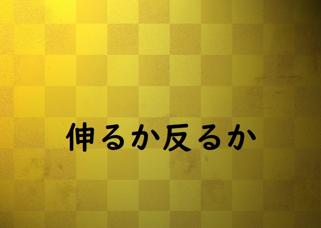 「伸るか反るか」の意味と例文 | 論文・小論文の書き方