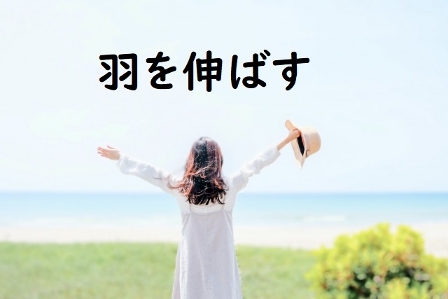 「羽を伸ばす」の意味 「羽を伸ばして」「羽を伸ばせない」などの例文 | 論文・小論文の書き方