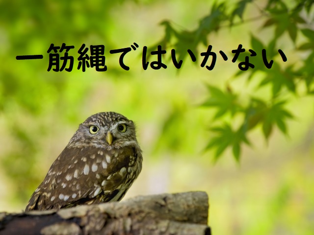 「一筋縄ではいかない」の意味と例文 | 論文・小論文の書き方