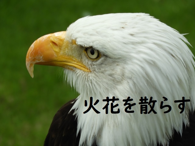 火花を散らす の意味 火花を散らして 火花を散らした などの例文 論文 小論文の書き方