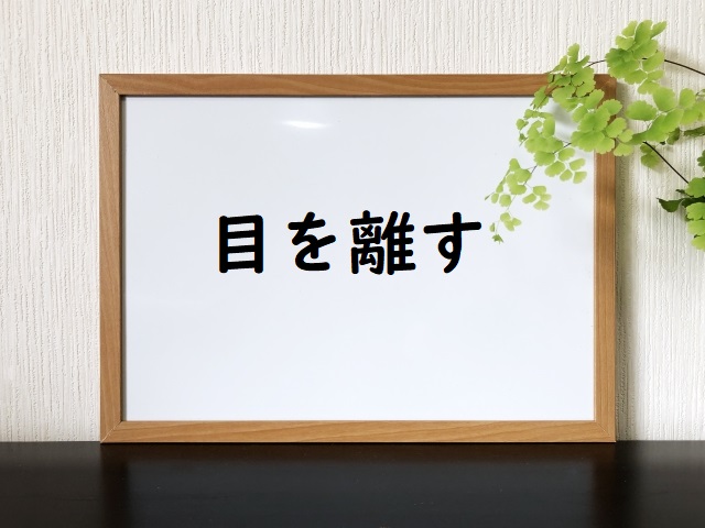 「目を離す」の意味 「目を離して」「目を離した」などの例文 | 論文・小論文の書き方