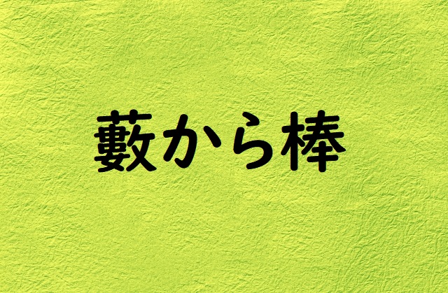 「藪から棒」の意味と例文 | 論文・小論文の書き方